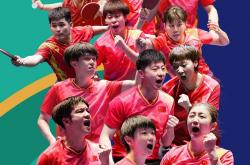 爱游戏中国-波兰队碾压日本队，马龙扛起全队的简单介绍