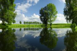 爱游戏APP-亚洲之光闪耀欧罗巴，孙兴慜一剑封喉终结黄色潜水艇，罗马悲情夜见证新王崛起