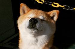 爱游戏在线-布克末节接管比赛，魔术绝杀奇才，宿命对决中的双重奇迹