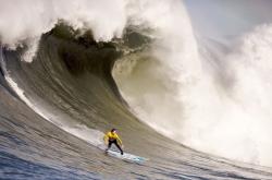 爱游戏tv-红牛奔腾，新王崛起，莱比锡横扫罗马，姆巴佩火热状态预示足坛新章