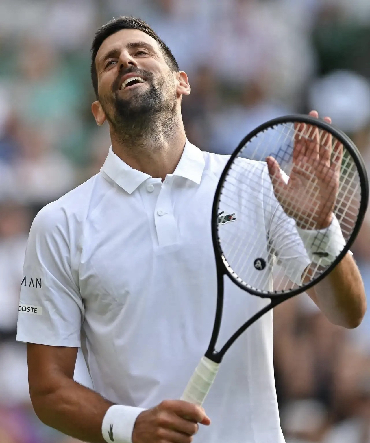 包含温网完胜法网，德约科维奇惊艳四座的词条