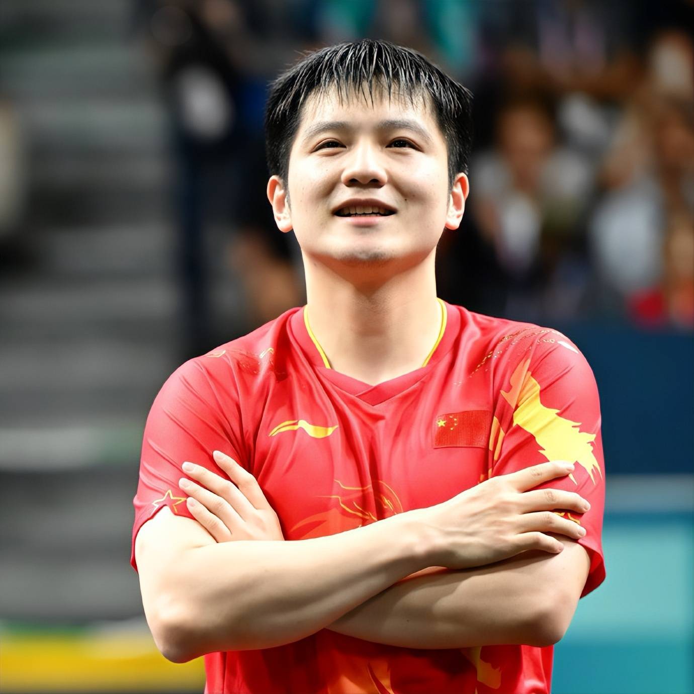 包含德国队力克奥地利队，樊振东状态火热的词条