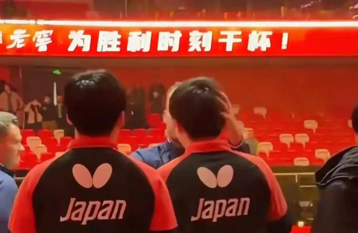 关于瑞典队鏖战中国队,张本智和关键制胜的信息 关于瑞典队鏖战中国队,张本智和关键制胜的信息