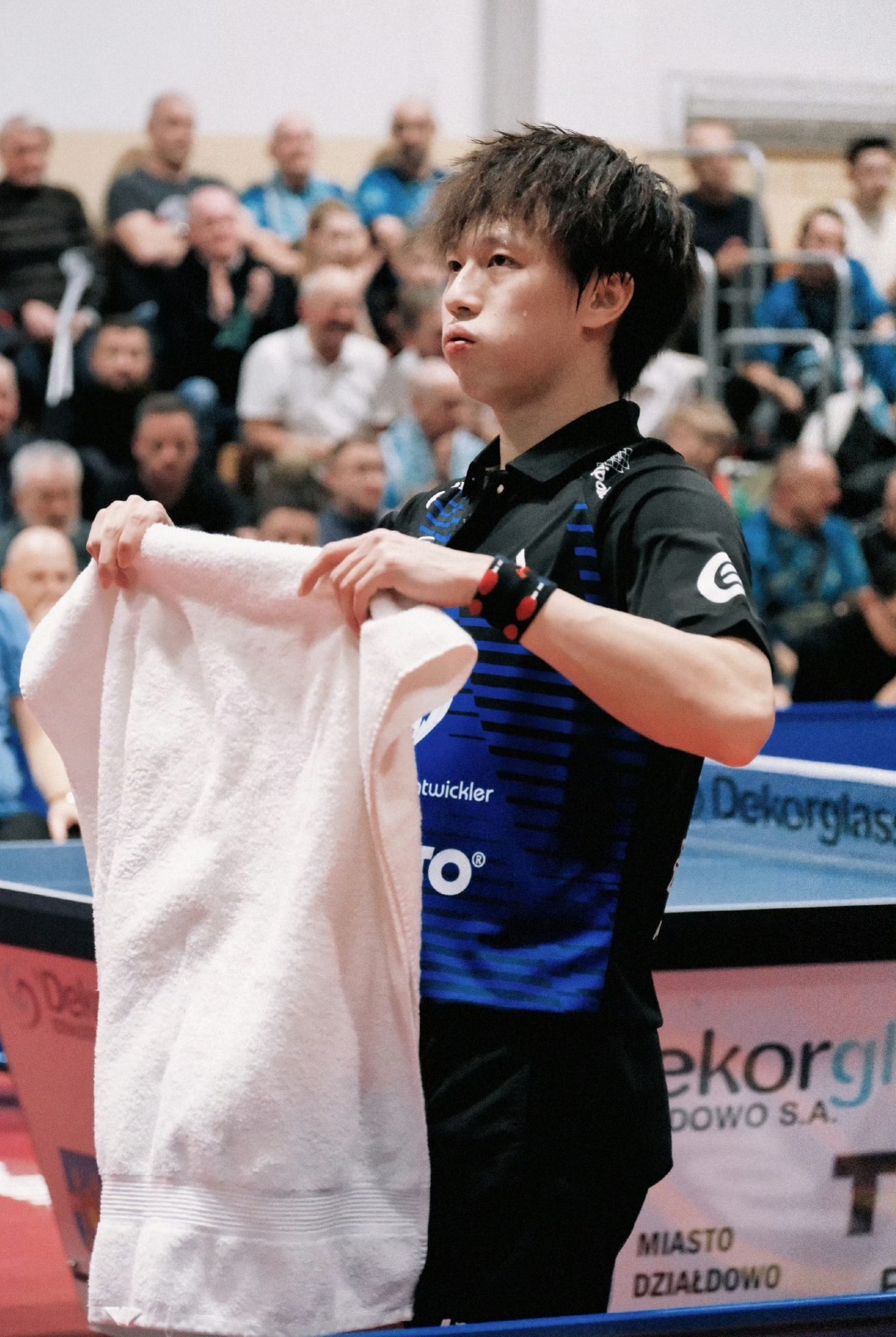 韩国队力克波兰队，林高远点燃赛场的简单介绍