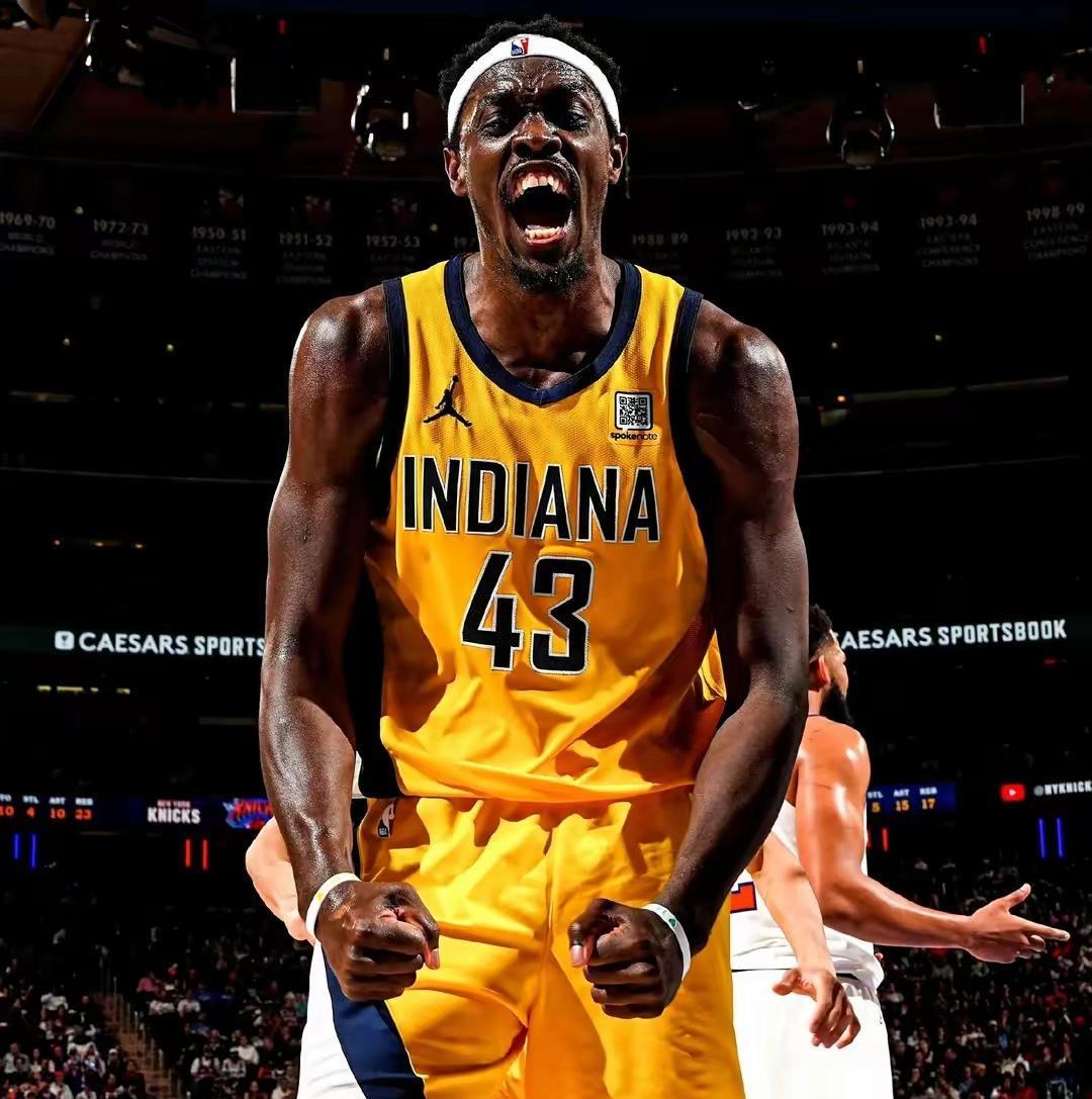 尼克斯力克德国男篮，波特绝境逆转的简单介绍