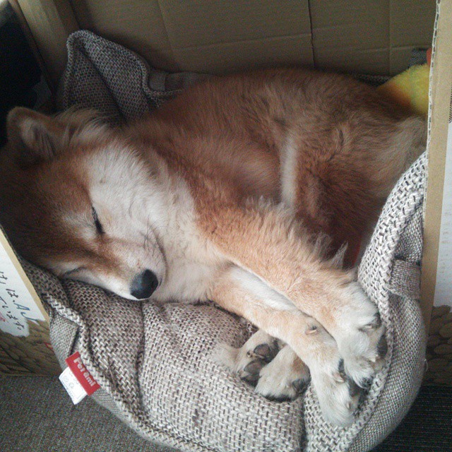 奥纳纳神勇爆发，南非锋线连续施压，切尔西遭遇战术压制